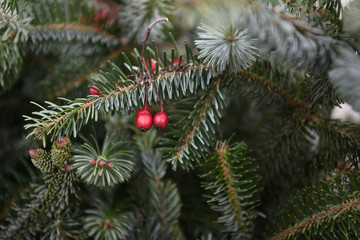 decorazioni Natale pino 