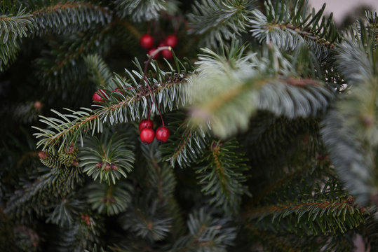 decorazione natale pinio 