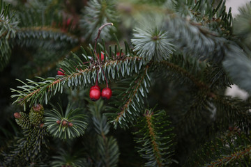 decorazioni Natale