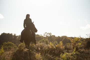 silhouette von Frau nd Pferd