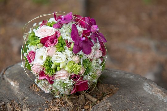 Pink And White Flowers Bouquet On Stump