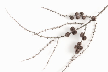 Fototapeta premium Christmas minimal composition. Pine cones, twigs on white background. Christmas, New Year, winter concept. Flat lay, top view, copy space
