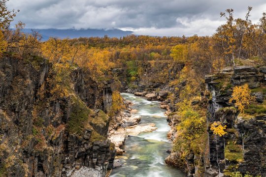 Abisko Canyon in autumn, river Abiskojakka, Abiskojakka, Abisko National Park, Norrbotten, Laponia, Lapland, Sweden, Europe