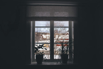 window with view