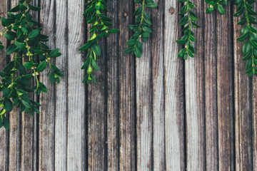 green leaves on the old wooden background