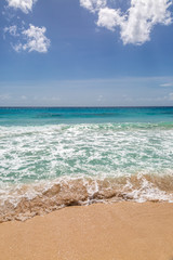 Fototapeta na wymiar A Tropical Beach on the Island of Barbados