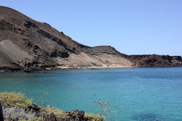 Fototapeta na wymiar tipico paesaggio costiero delle Galapagos