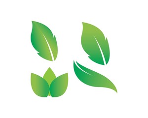 Tree leaf vector logo design, eco