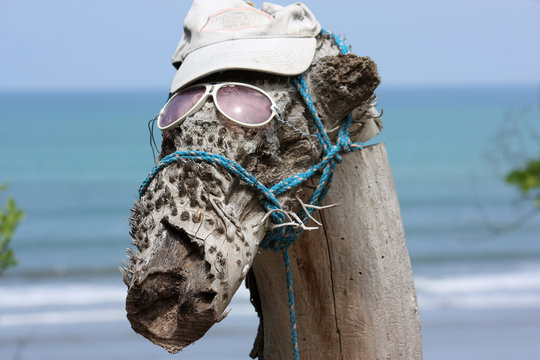 Driftwood giraffe, Giraffa in legno lavorato dal mare