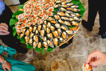 Tray of cooked mussels with spices served at a gastronomic party.
