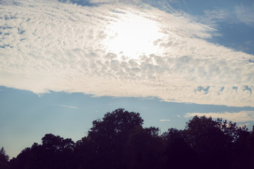 Sun behind white puffy clouds, shinning above the the trees in a public park, sunset time
