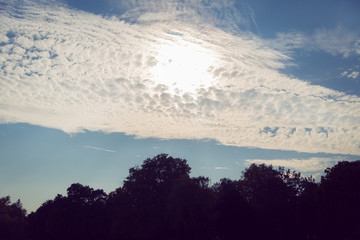 Sun behind white puffy clouds, shinning above the the trees in a public park, sunset time