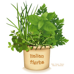 Herb Garden Clay Planter with traditional Italian cooking herbs, Italian Oregano, Sage, Chives, Flat Leaf Parsley, Sweet Marjoram.  Isolated on white background. 