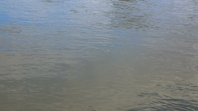 Slow motion footage of river water surface flow. Location: River Seine outside of Paris.