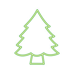 Fototapeta premium pine tree on white background