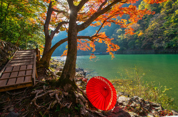 Autumn at Arashiyama - 236376203