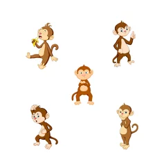 Fotobehang Aap vector illustration of a cute cartoon monkey