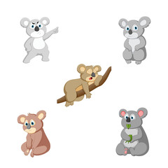vector illustration of a cartoon koala
