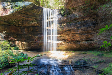Northrup Falls, Tennessee