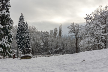 Amazing Winter Landscape with snow covered trees in South Park in city of Sofia, Bulgaria