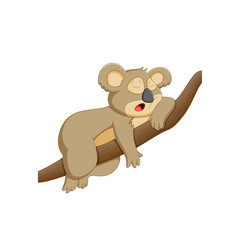vector illustration of a cartoon koala