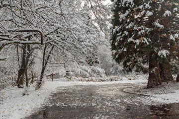 Amazing Winter Landscape with snow covered trees in South Park in city of Sofia, Bulgaria