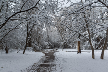 Amazing Winter Landscape with snow covered trees in South Park in city of Sofia, Bulgaria