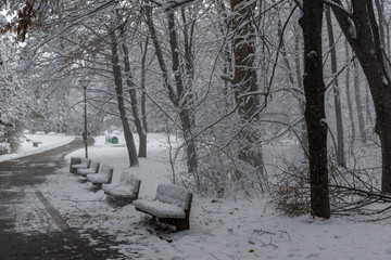 Amazing Winter Landscape with snow covered trees in South Park in city of Sofia, Bulgaria