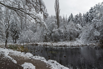Amazing Winter Landscape with snow covered trees in South Park in city of Sofia, Bulgaria