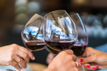 Celebrating Christmas days toasting wine glasses during a celebration day at our vacations during lunch time in a vineyard at Casablanca, Chile