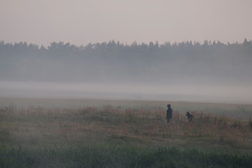 Obraz na płótnie Canvas man with a dog, a misty morning in a field