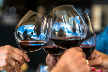 Celebrating Christmas days toasting wine glasses during a celebration day at our vacations during...