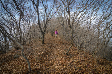 End of Autumn Hike in the Woods