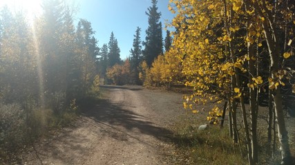 Fall Road to Mount Sherman, Colorado
