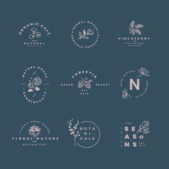 Set of botanical logo design vectors