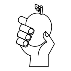 hand with mango on white background