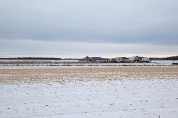 Agricultural land in winter