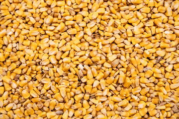 Corn kernel background