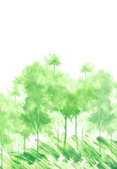 Watercolor summer landscape. Green,  tree on a bright grass. On a white background. A summer tree. Watercolor picture, logo, postcard