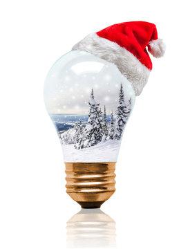 Christmas Snow Globe Light Bulb Winter Scene With Santa Hat