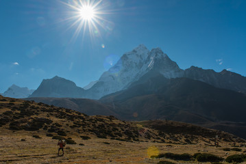 sherpa porters carrying heavy sacks in the Himalayas at Everest Base Camp trek ,Nepal.Sherpas are elite mountaineers and experts in the Himalaya mountains.