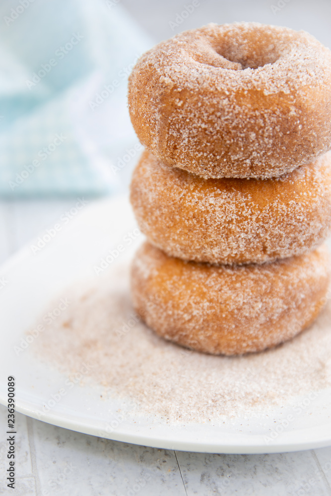 Wall mural cinnamon sugar donuts plated