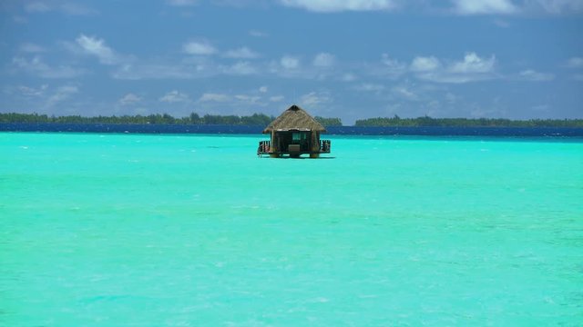 Paradise Island Reef overwater hut Palm trees in tropical aquamarine lagoon a luxury vacation resort in Bora Bora French Polynesia