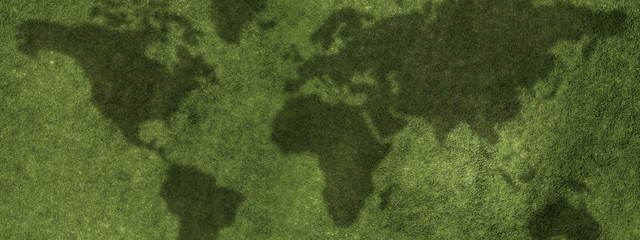 Green grass abstract