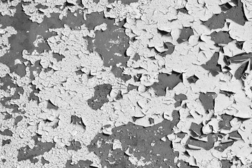 white peeling paint on the old rough concrete surface. black and white view