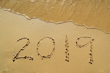 Happy New year 2019 with the waves beat at the beach and shell fragments.
