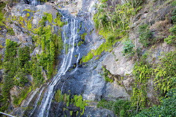 Fototapeta na wymiar Waterfall in Kuranda