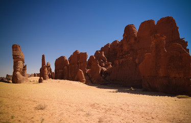 Fototapeta na wymiar Abstract Rock formation at plateau Ennedi aka stone forest in Chad