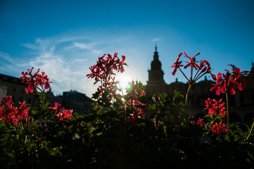 Krakow evening