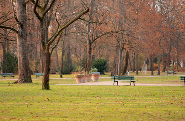 park in autumn